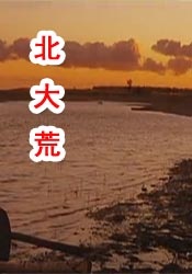 a在线看