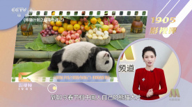 国产麻豆一区二区三区